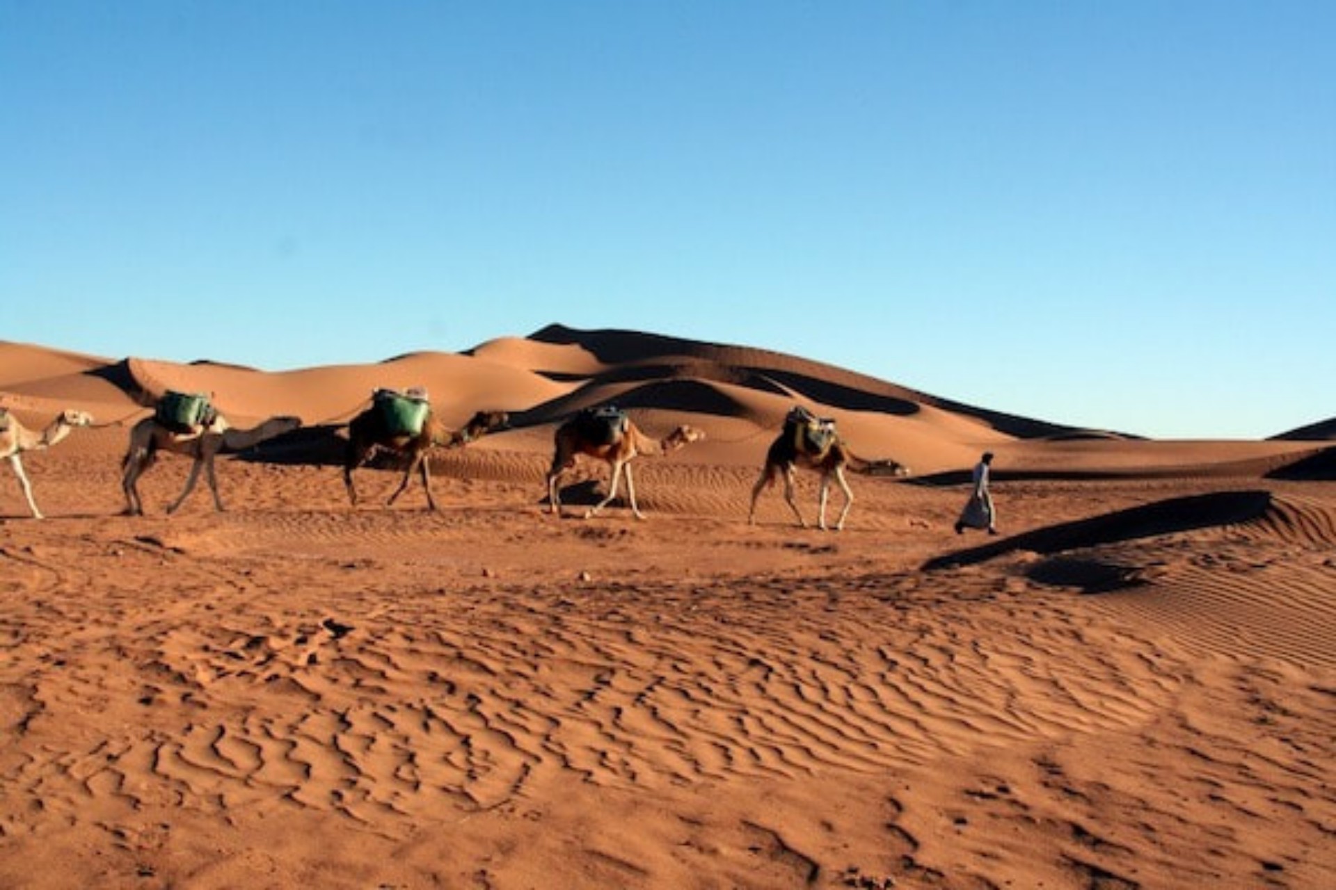 2 Days Desert Tour from Marrakech to Zagora Desert